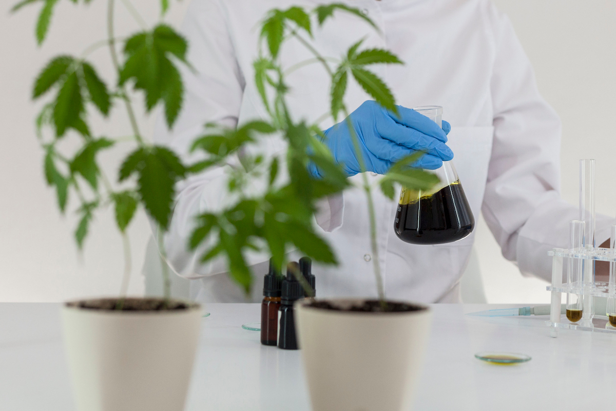 Knowde Group and LMC Manna partner to drive cannabis research