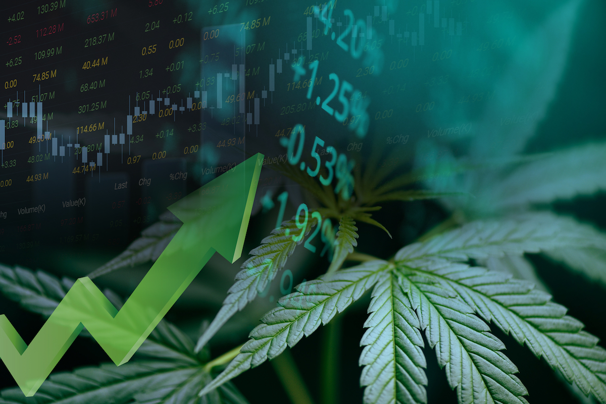 Roth Capital to host Women Cannabis Pioneers Investor Conference 
