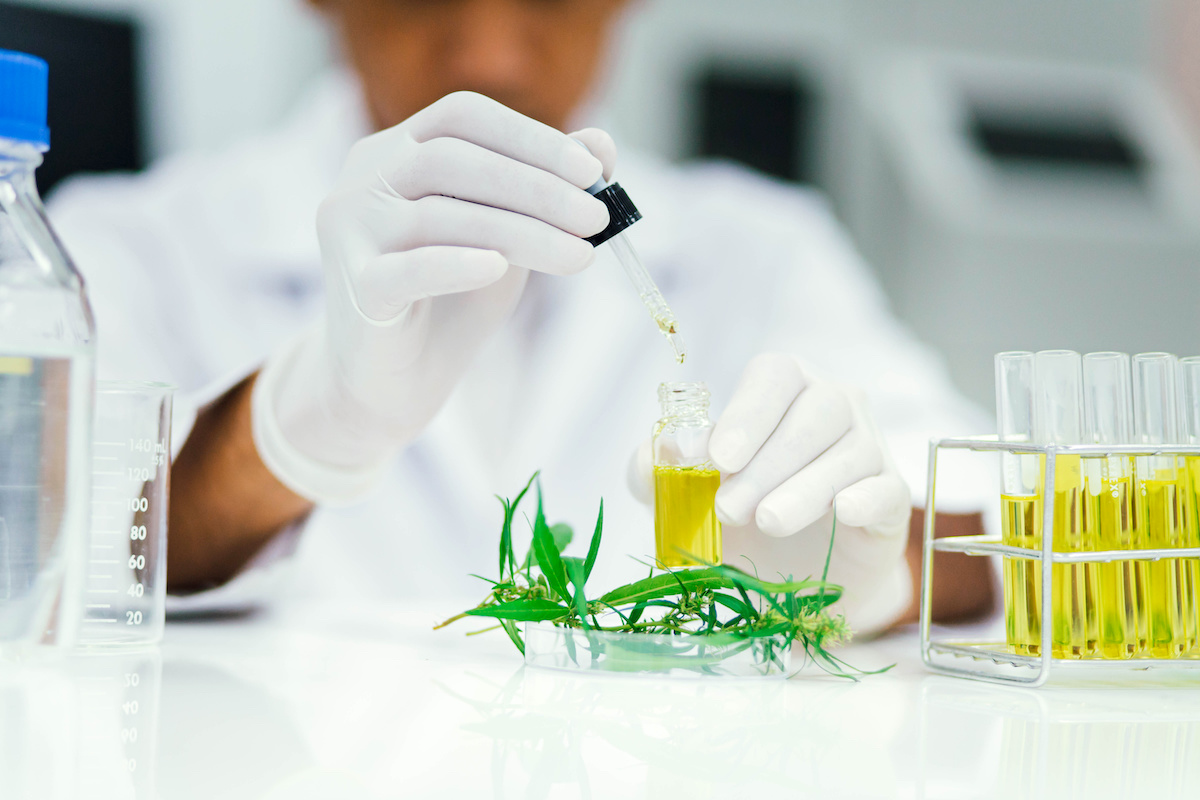 GMP certification allows Linneo Health to continue cannabis research