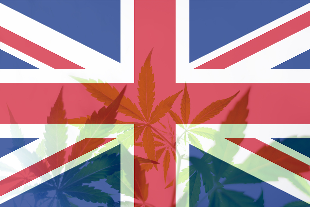 Setting standards for the UK cannabis industry