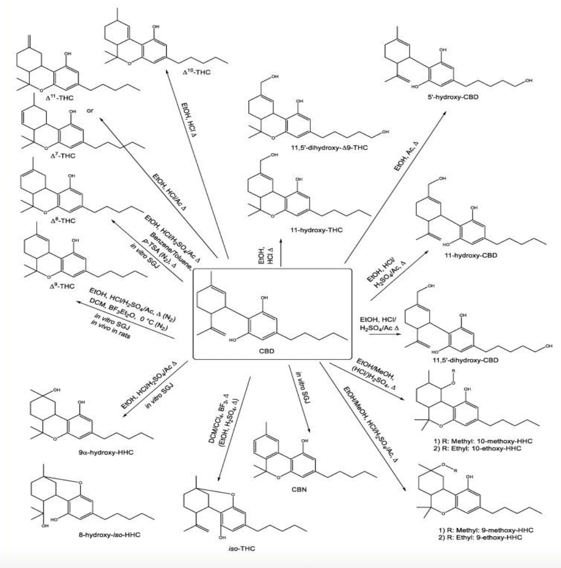 Delta-8-THC: the utilisation of hemp biomass in the cannabis industry