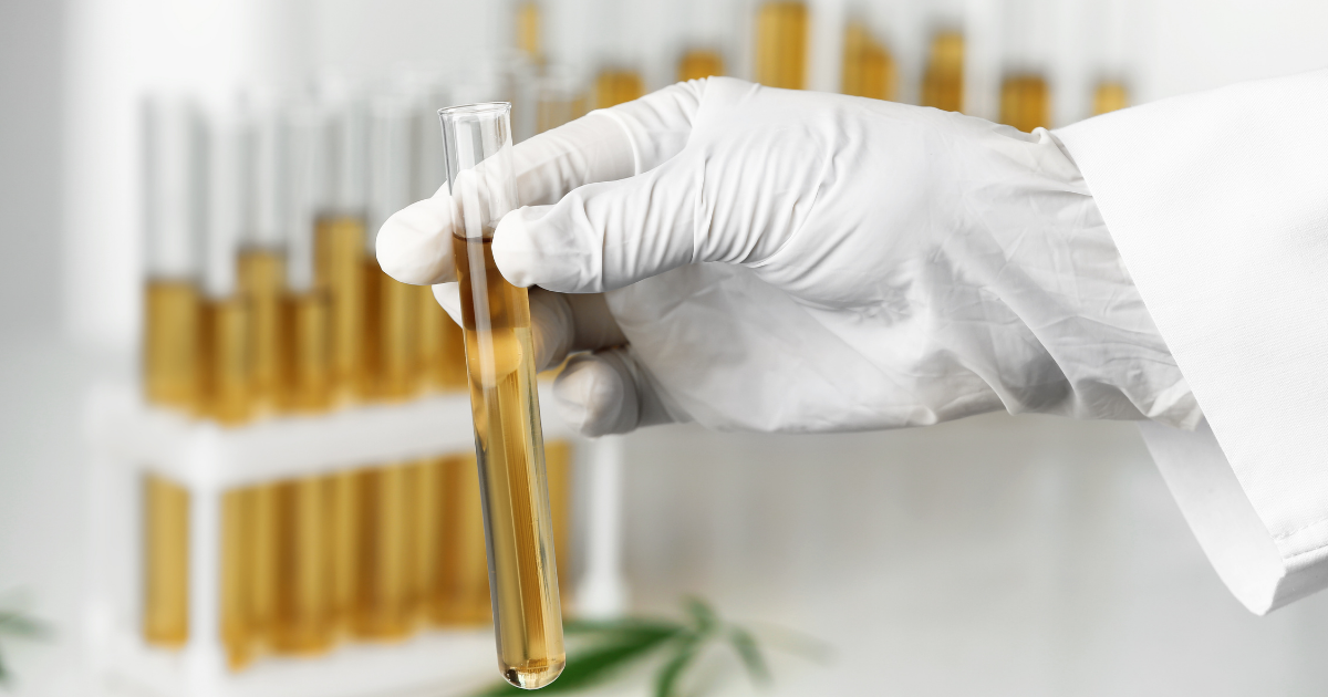 Study finds CBD mislabelling taking place in US industry