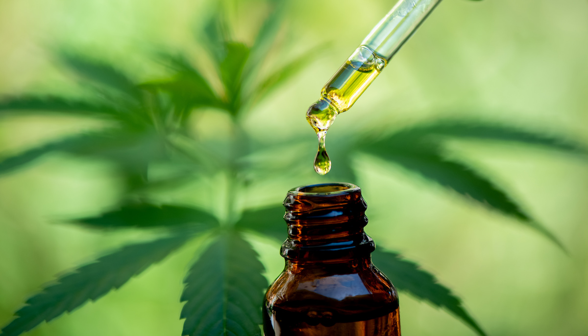 CBD and animals: A bottle of brown CBD oil