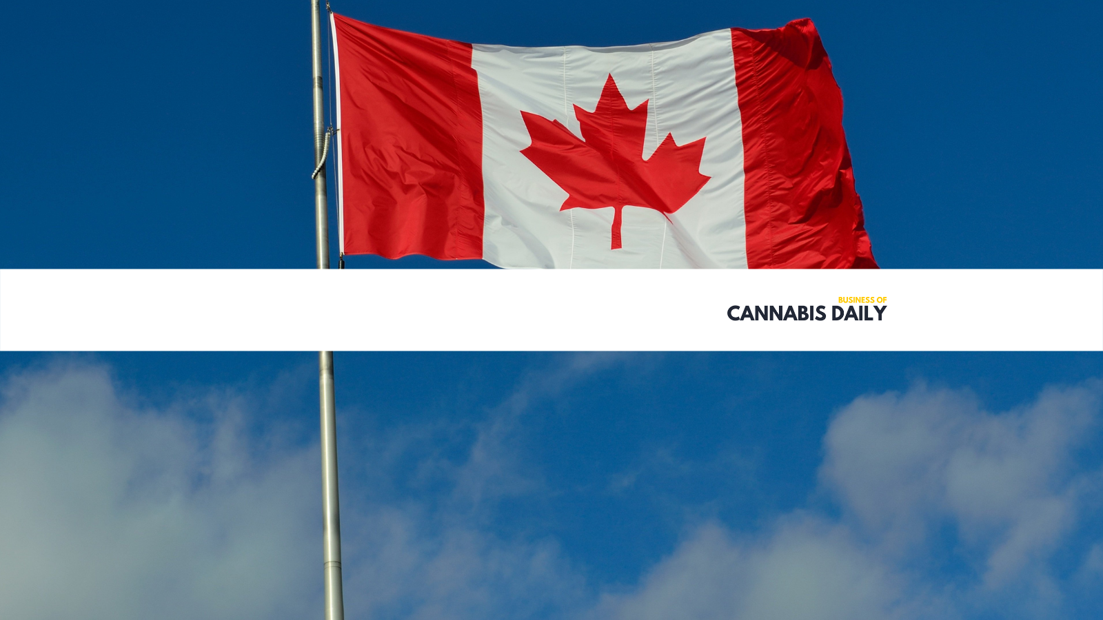 canadian cannabis sales at the top of the cannabis news