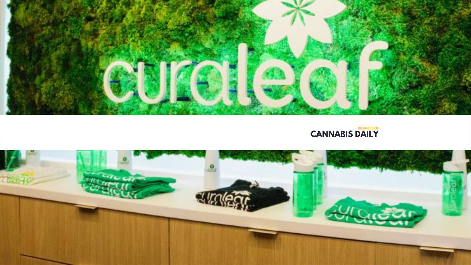 curaleaf CEO explains relationships in the cannabis news