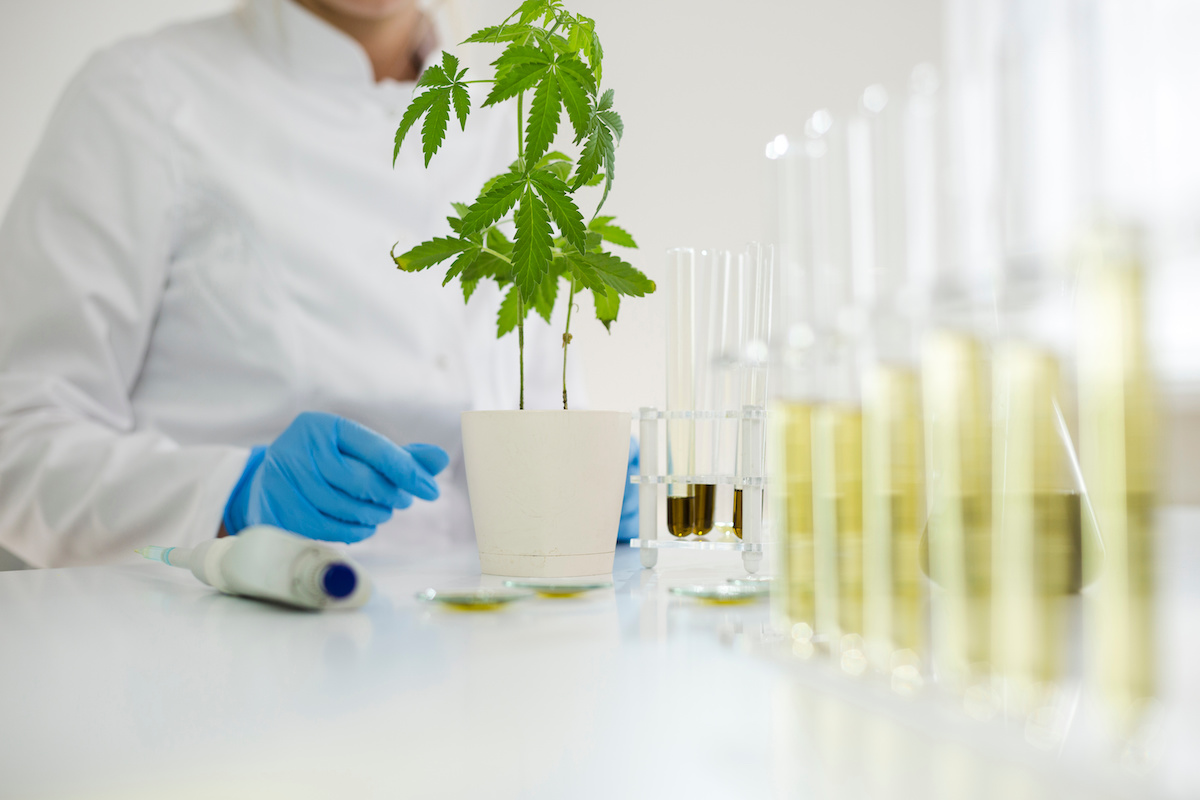 Phytovista Laboratories positioned to support CBD industry with testing