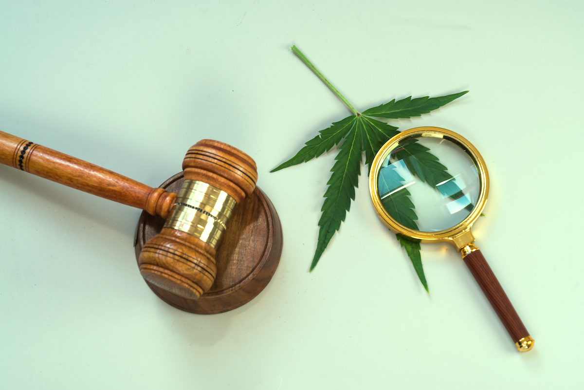 Funding support for US cannabis policy and social justice reform research