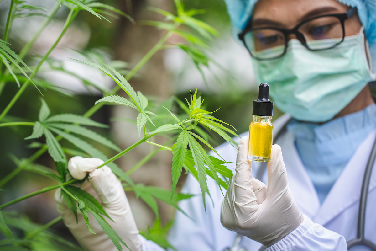 GW Pharma begins constructing £75m UK cannabis manufacturing facility