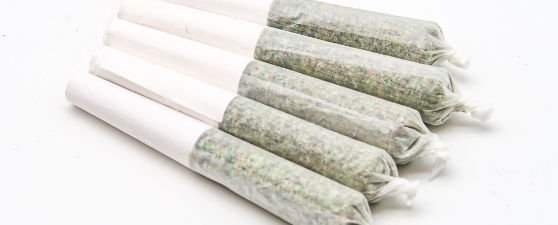 cannabis industry insights has pre-rolls on the rise in Canada