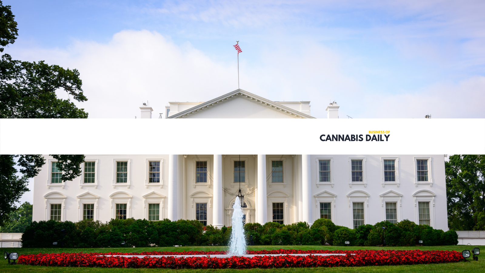 white house makes cannabis news with grants of clemency