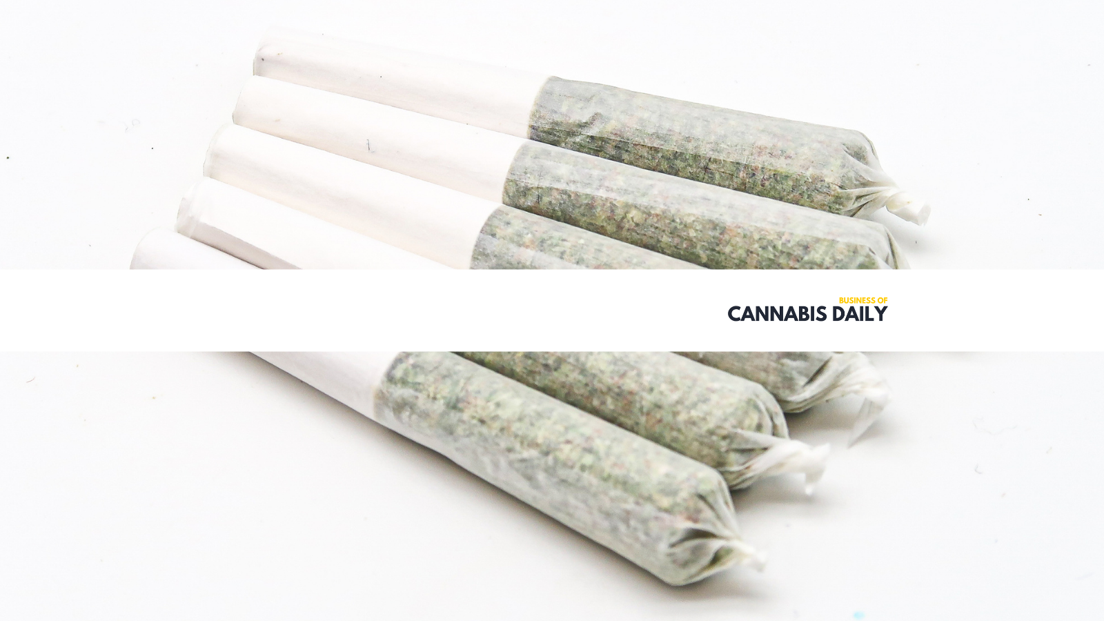cannabis news focused on the increasing prominence of pre-rolls