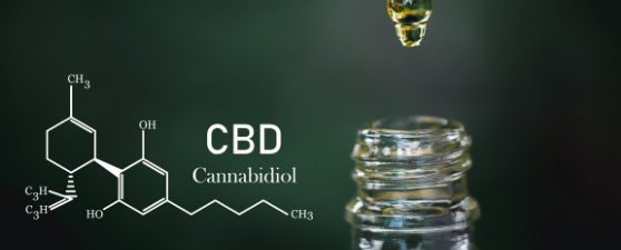 cannabis news for cbd stores in the us