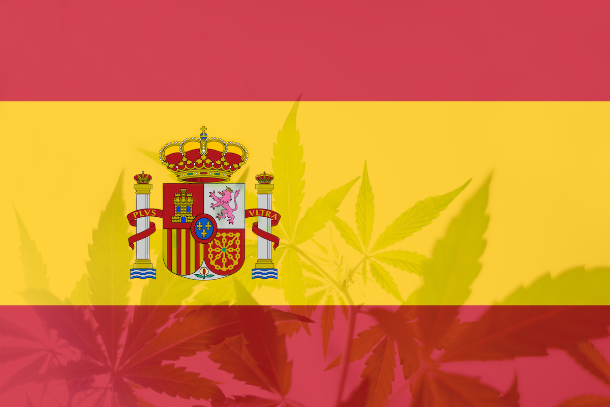 Medical cannabis bill given green light in Spain