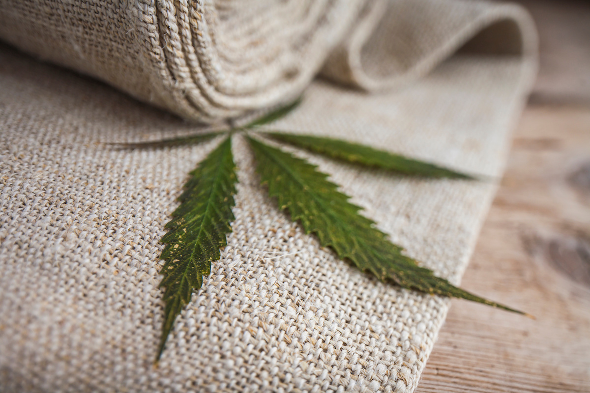 Global industrial hemp market projected to hit $3.2bn by 2028