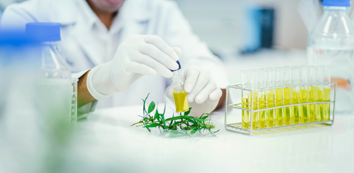 New partnership to commercialise synthetic THCV and rare cannabinoids