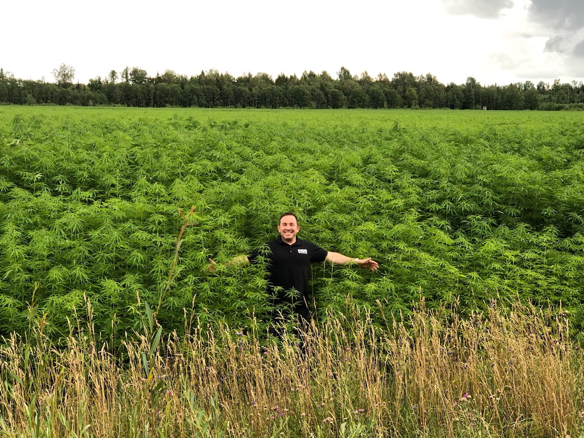 British Cannabis™: field of dreams