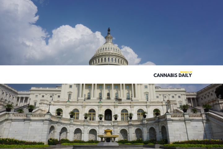 Business of Cannabis Daily