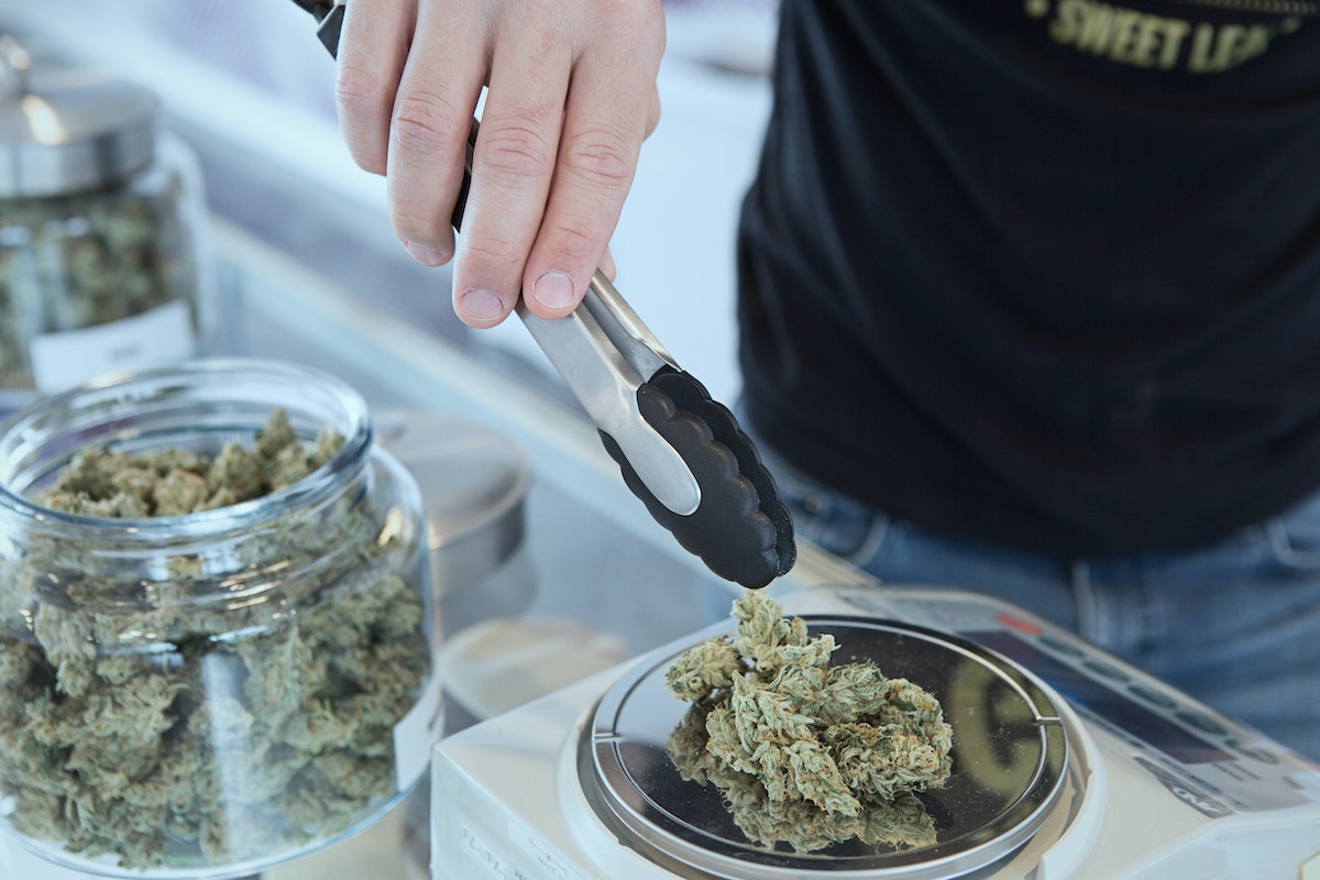 Germany reveals final plans for recreational cannabis legalisation 